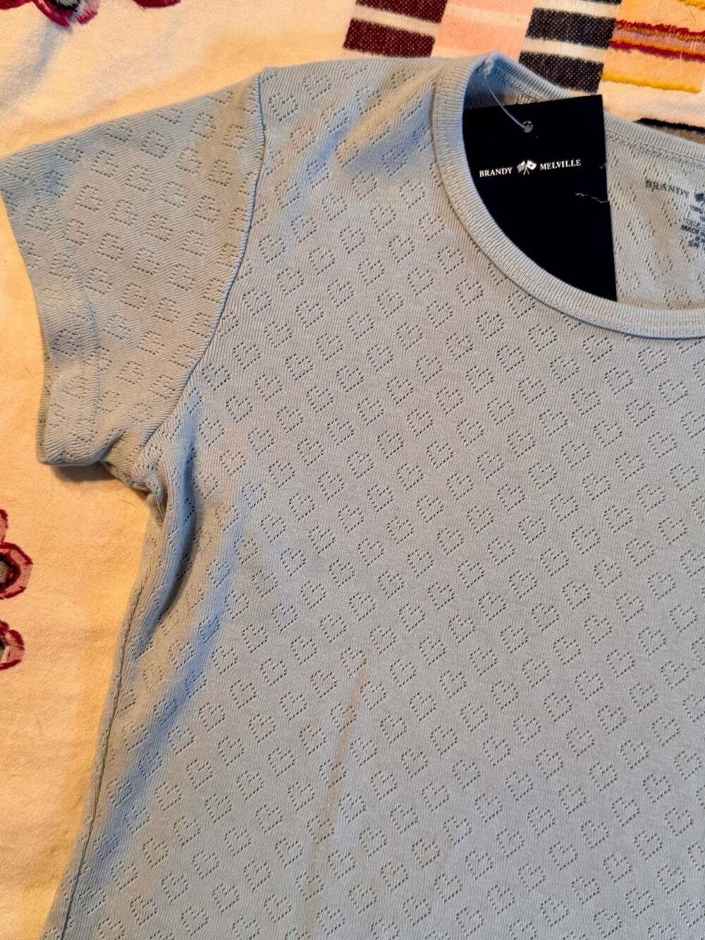 Brandy Melville Blue Pointelle Baby Tee | Coquette Soft Girl Y2K Fitted Crop Top